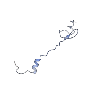 8828_5wfk_0_v1-3
70S ribosome-EF-Tu H84A complex with GTP and near-cognate tRNA (Complex C3)