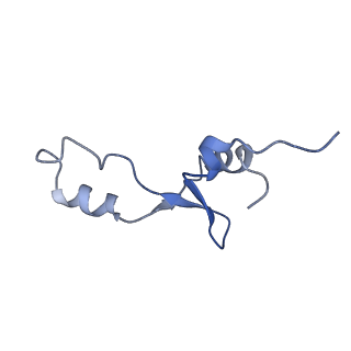 8828_5wfk_3_v1-3
70S ribosome-EF-Tu H84A complex with GTP and near-cognate tRNA (Complex C3)