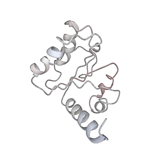 8828_5wfk_5_v1-3
70S ribosome-EF-Tu H84A complex with GTP and near-cognate tRNA (Complex C3)