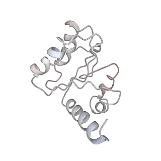 8828_5wfk_5_v2-1
70S ribosome-EF-Tu H84A complex with GTP and near-cognate tRNA (Complex C3)
