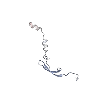 8828_5wfk_6_v1-3
70S ribosome-EF-Tu H84A complex with GTP and near-cognate tRNA (Complex C3)