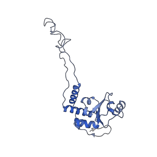 8828_5wfk_E_v1-3
70S ribosome-EF-Tu H84A complex with GTP and near-cognate tRNA (Complex C3)