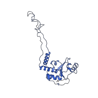 8828_5wfk_E_v2-1
70S ribosome-EF-Tu H84A complex with GTP and near-cognate tRNA (Complex C3)