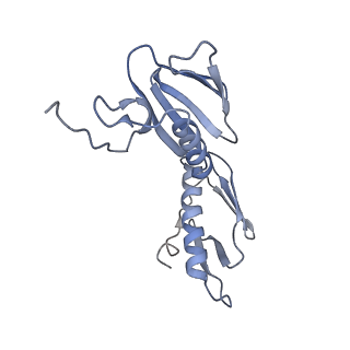 8828_5wfk_G_v1-3
70S ribosome-EF-Tu H84A complex with GTP and near-cognate tRNA (Complex C3)