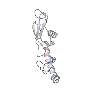 8828_5wfk_H_v1-3
70S ribosome-EF-Tu H84A complex with GTP and near-cognate tRNA (Complex C3)