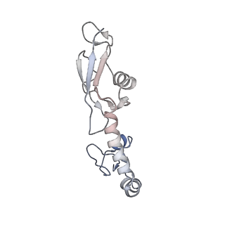 8828_5wfk_H_v2-1
70S ribosome-EF-Tu H84A complex with GTP and near-cognate tRNA (Complex C3)