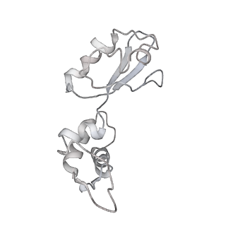 8828_5wfk_I_v2-1
70S ribosome-EF-Tu H84A complex with GTP and near-cognate tRNA (Complex C3)