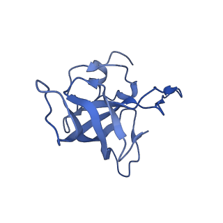 8828_5wfk_K_v1-3
70S ribosome-EF-Tu H84A complex with GTP and near-cognate tRNA (Complex C3)