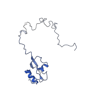8828_5wfk_L_v1-3
70S ribosome-EF-Tu H84A complex with GTP and near-cognate tRNA (Complex C3)