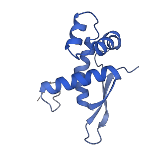 8828_5wfk_N_v1-3
70S ribosome-EF-Tu H84A complex with GTP and near-cognate tRNA (Complex C3)