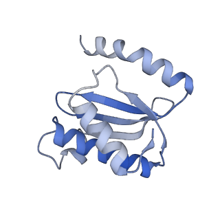 8828_5wfk_O_v1-3
70S ribosome-EF-Tu H84A complex with GTP and near-cognate tRNA (Complex C3)