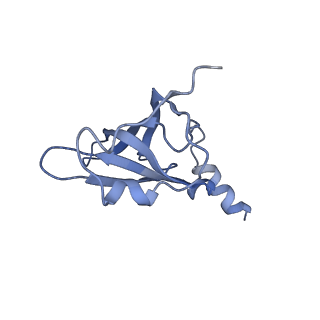 8828_5wfk_P_v1-3
70S ribosome-EF-Tu H84A complex with GTP and near-cognate tRNA (Complex C3)