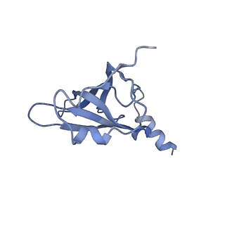 8828_5wfk_P_v2-1
70S ribosome-EF-Tu H84A complex with GTP and near-cognate tRNA (Complex C3)