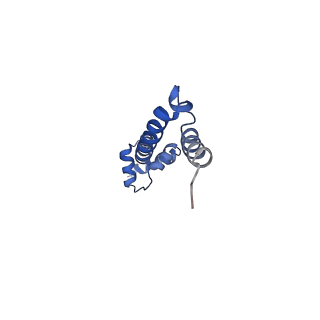 8828_5wfk_Q_v1-3
70S ribosome-EF-Tu H84A complex with GTP and near-cognate tRNA (Complex C3)