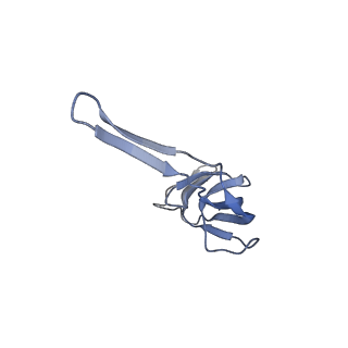 8828_5wfk_R_v1-3
70S ribosome-EF-Tu H84A complex with GTP and near-cognate tRNA (Complex C3)