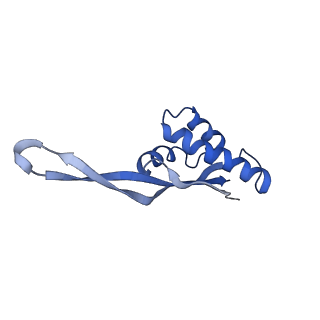 8828_5wfk_S_v1-3
70S ribosome-EF-Tu H84A complex with GTP and near-cognate tRNA (Complex C3)