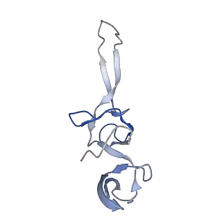 8828_5wfk_U_v1-3
70S ribosome-EF-Tu H84A complex with GTP and near-cognate tRNA (Complex C3)