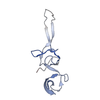 8828_5wfk_U_v2-1
70S ribosome-EF-Tu H84A complex with GTP and near-cognate tRNA (Complex C3)