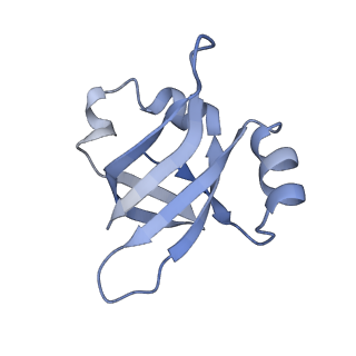 8828_5wfk_V_v1-3
70S ribosome-EF-Tu H84A complex with GTP and near-cognate tRNA (Complex C3)