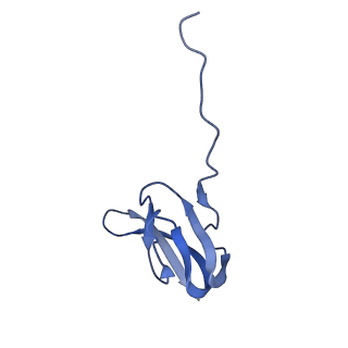 8828_5wfk_W_v1-3
70S ribosome-EF-Tu H84A complex with GTP and near-cognate tRNA (Complex C3)