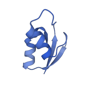 8828_5wfk_Z_v1-3
70S ribosome-EF-Tu H84A complex with GTP and near-cognate tRNA (Complex C3)
