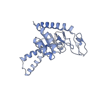 8828_5wfk_b_v1-3
70S ribosome-EF-Tu H84A complex with GTP and near-cognate tRNA (Complex C3)
