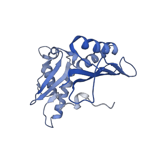 8828_5wfk_c_v1-3
70S ribosome-EF-Tu H84A complex with GTP and near-cognate tRNA (Complex C3)