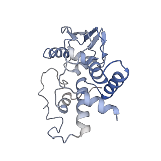 8828_5wfk_d_v2-1
70S ribosome-EF-Tu H84A complex with GTP and near-cognate tRNA (Complex C3)