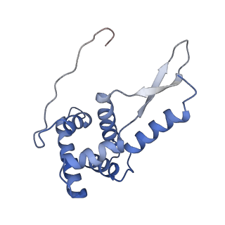 8828_5wfk_g_v1-3
70S ribosome-EF-Tu H84A complex with GTP and near-cognate tRNA (Complex C3)