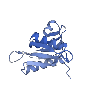 8828_5wfk_h_v1-3
70S ribosome-EF-Tu H84A complex with GTP and near-cognate tRNA (Complex C3)