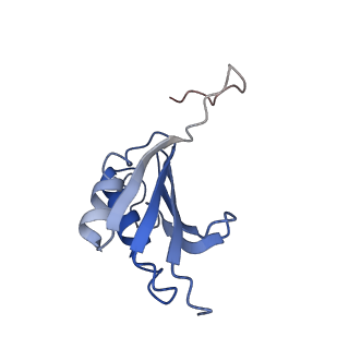 8828_5wfk_k_v1-3
70S ribosome-EF-Tu H84A complex with GTP and near-cognate tRNA (Complex C3)