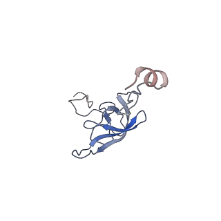 8828_5wfk_l_v1-3
70S ribosome-EF-Tu H84A complex with GTP and near-cognate tRNA (Complex C3)