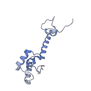 8828_5wfk_m_v1-3
70S ribosome-EF-Tu H84A complex with GTP and near-cognate tRNA (Complex C3)