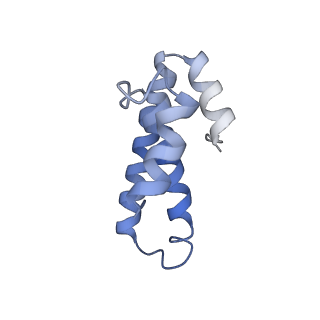 8828_5wfk_o_v1-3
70S ribosome-EF-Tu H84A complex with GTP and near-cognate tRNA (Complex C3)