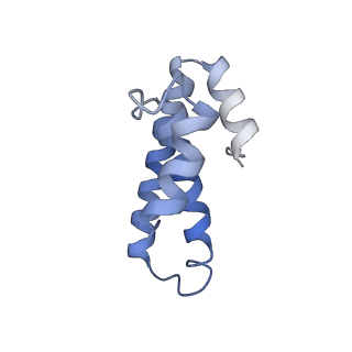 8828_5wfk_o_v2-1
70S ribosome-EF-Tu H84A complex with GTP and near-cognate tRNA (Complex C3)
