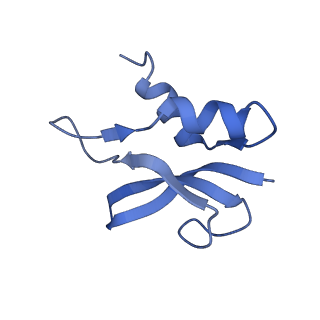 8828_5wfk_p_v1-3
70S ribosome-EF-Tu H84A complex with GTP and near-cognate tRNA (Complex C3)