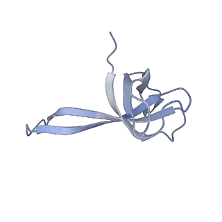 8828_5wfk_q_v1-3
70S ribosome-EF-Tu H84A complex with GTP and near-cognate tRNA (Complex C3)