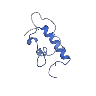 8828_5wfk_r_v1-3
70S ribosome-EF-Tu H84A complex with GTP and near-cognate tRNA (Complex C3)
