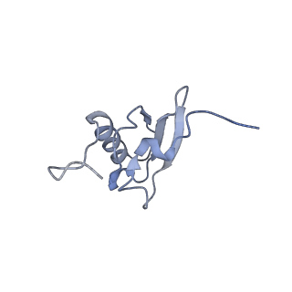 8828_5wfk_s_v1-3
70S ribosome-EF-Tu H84A complex with GTP and near-cognate tRNA (Complex C3)