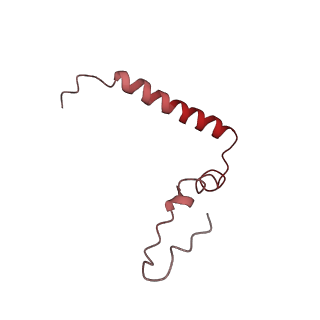 8828_5wfk_u_v1-3
70S ribosome-EF-Tu H84A complex with GTP and near-cognate tRNA (Complex C3)
