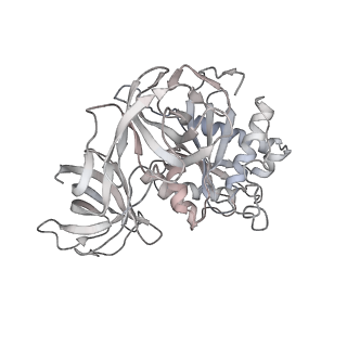8828_5wfk_z_v1-3
70S ribosome-EF-Tu H84A complex with GTP and near-cognate tRNA (Complex C3)