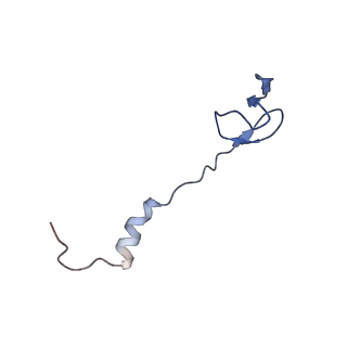 8829_5wfs_0_v2-2
70S ribosome-EF-Tu H84A complex with GTP and near-cognate tRNA (Complex C4)