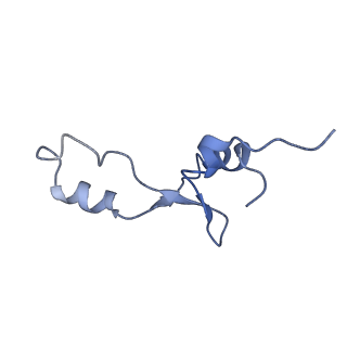 8829_5wfs_3_v1-3
70S ribosome-EF-Tu H84A complex with GTP and near-cognate tRNA (Complex C4)