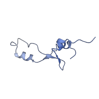 8829_5wfs_3_v2-1
70S ribosome-EF-Tu H84A complex with GTP and near-cognate tRNA (Complex C4)