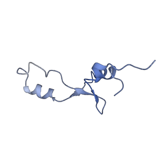 8829_5wfs_3_v2-2
70S ribosome-EF-Tu H84A complex with GTP and near-cognate tRNA (Complex C4)