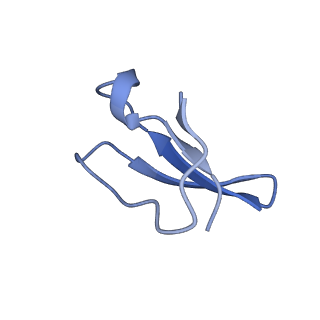8829_5wfs_4_v1-3
70S ribosome-EF-Tu H84A complex with GTP and near-cognate tRNA (Complex C4)