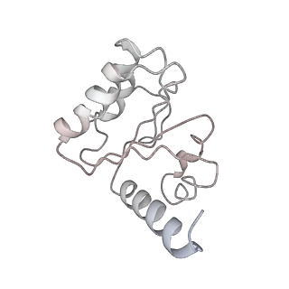 8829_5wfs_5_v1-3
70S ribosome-EF-Tu H84A complex with GTP and near-cognate tRNA (Complex C4)