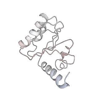 8829_5wfs_5_v2-2
70S ribosome-EF-Tu H84A complex with GTP and near-cognate tRNA (Complex C4)