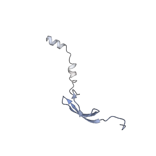 8829_5wfs_6_v1-3
70S ribosome-EF-Tu H84A complex with GTP and near-cognate tRNA (Complex C4)