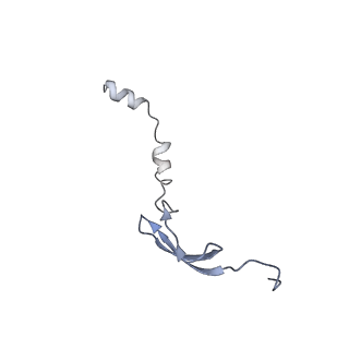 8829_5wfs_6_v2-1
70S ribosome-EF-Tu H84A complex with GTP and near-cognate tRNA (Complex C4)